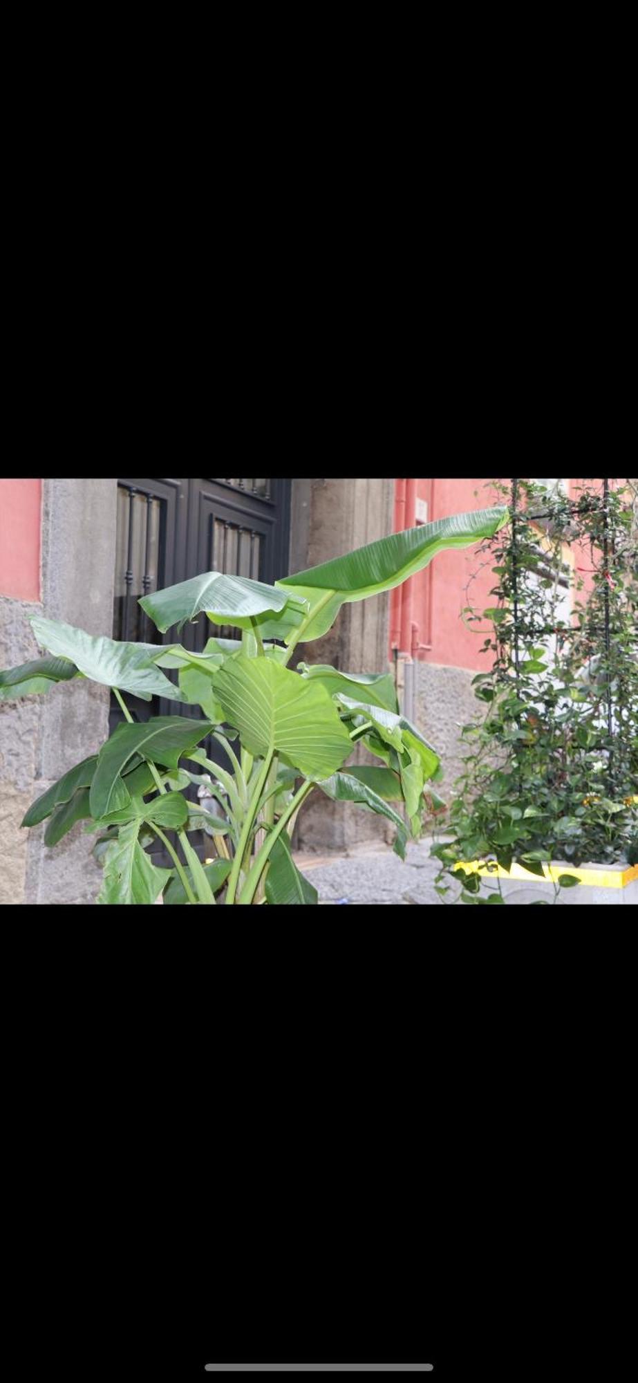 Appartamento Barbaro Centro Di Napoli